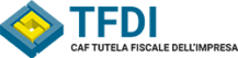 logo-TFDI
